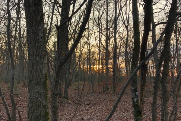 1ère sélection du Journal Quinzaines