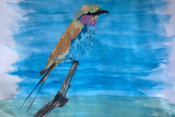 De l’œil au pinceau