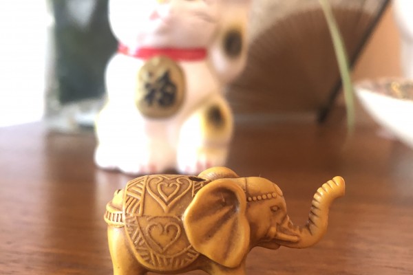 L'éléphant ne s'évapore pas!
