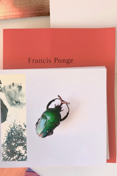 The Lost Language of Ponge (inachevé)