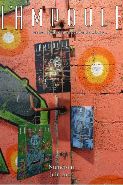 Chimère (micro-nouvelle)